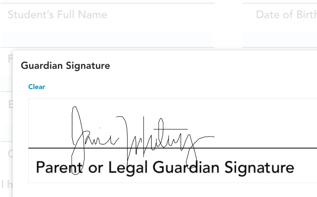 A graphical depiction of an electronic signature field