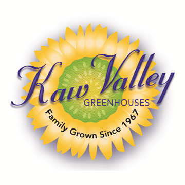 Sun Valley logo